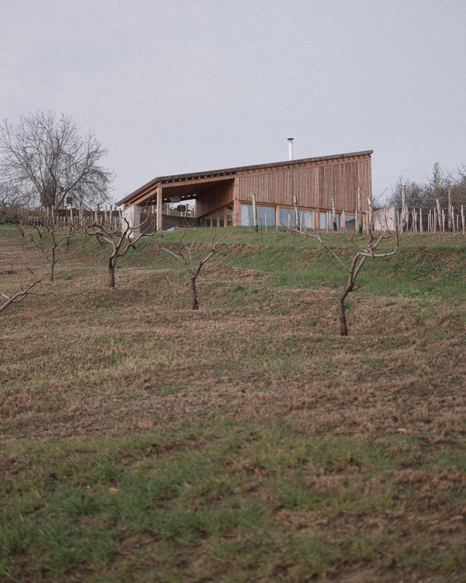 Szegzard - The Lodge Szekszárd Eksteriør billede
